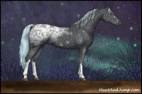 Horse Color:Painted Silver Black Chinchilla Ice 