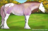 Horse Color:Chocolate Buckskin Pearl Splash Blanket Rabicano 