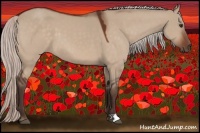 Horse Color:Silver Brown Dun
