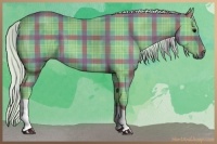 Horse Color:Watercolor Plaid  Silver Black 