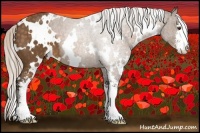 Horse Color:White Spotted Silver Buckskin Sabino