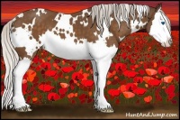 Horse Color:White Spotted Silver Buckskin Splash 