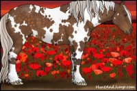 Horse Color:White Spotted Silver Buckskin 