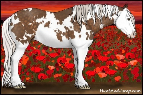 Horse Color:White Spotted Silver Buckskin Splash 