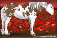 Horse Color:White Spotted Silver Buckskin Splash 