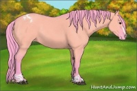 Horse Color:Watercolor Grullo Sabino Appaloosa 