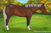 Horse Color:Silver Brown