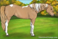 Horse Color:Red Roan Tobiano 