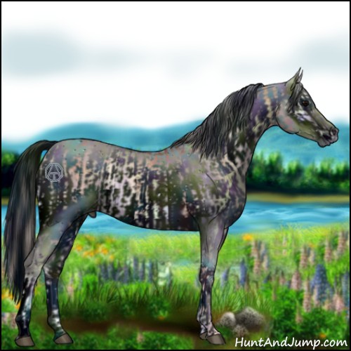 Horse Color:Nacre Silver Brown Onyx  and ERROR: UNKNOWN ANOMALY