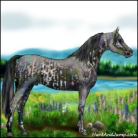 Horse Color:Nacre Silver Brown Onyx and ERROR: UNKNOWN ANOMALY