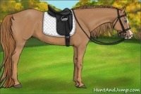 Horse Color:Chestnut Splash 