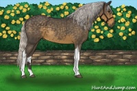 Horse Color:Silver Smoky Blue Roan Tobiano 