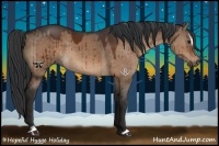 Horse Color:Brown Dun Sabino 