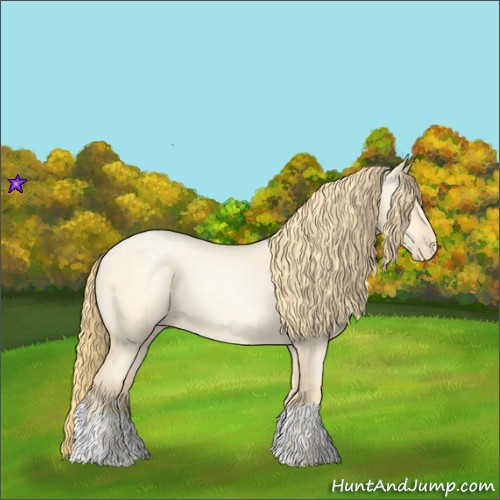 Horse Color:Buckskin Roan Pearl  and Buckskin Roan Pearl Dun 