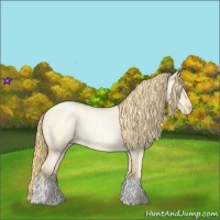 Horse Color:Buckskin Roan Pearl  and Buckskin Roan Pearl Dun 