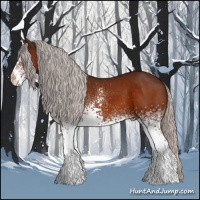 Horse Color:White Spotted Silver Bay