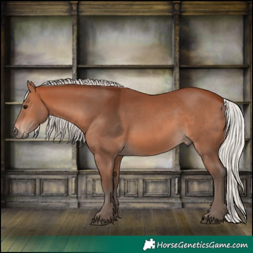 Horse Color:Silver Bay 
