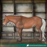 Horse Color:Silver Bay 