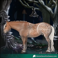 Horse Color:Silver Bay 