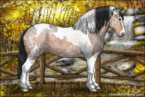 Horse Color:Brown Ice Dun Sabino Tobiano