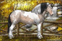 Horse Color:Brown Ice Dun Sabino Tobiano