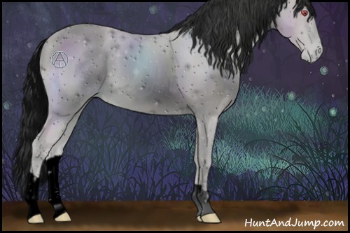 Horse Color:ERROR: UNKNOWN ANOMALY