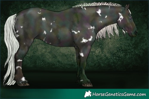Horse Color:Watercolor White Spotted Midnight Silver Grullo Chinchilla Ice 