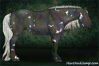 Horse Color:Watercolor White Spotted Midnight Silver Grullo Chinchilla Ice 