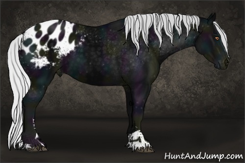 Horse Color:Midnight Silver Black Chinchilla Sabino Blanket 