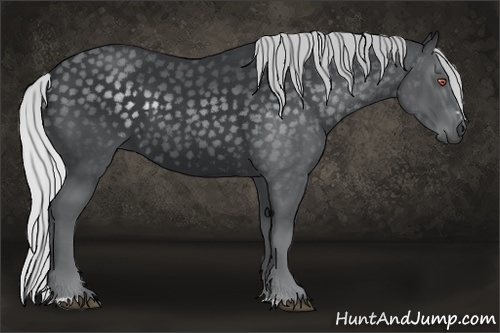 Horse Color:Silver Black Chinchilla Sabino 