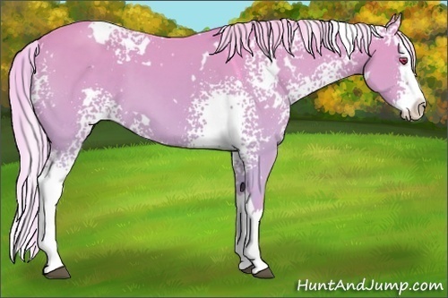 Horse Color:Watercolor White Spotted Silver Grullo Chinchilla Splash 