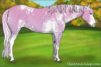Horse Color:Watercolor White Spotted Silver Grullo Chinchilla Splash