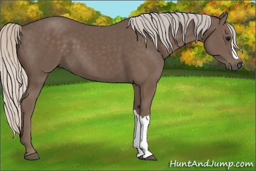 Horse Color:Silver Black 