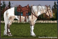 Horse Color:White Spotted Silver Brown Dun 