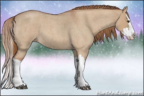 Horse Color:Red Dun Roan Splash 