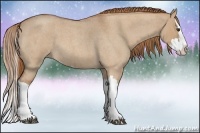 Horse Color:Red Dun Roan Splash 
