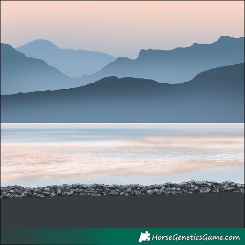 Horse Color:Silver Brown 