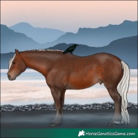 Horse Color:Silver Brown 