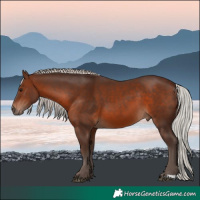 Horse Color:Silver Brown