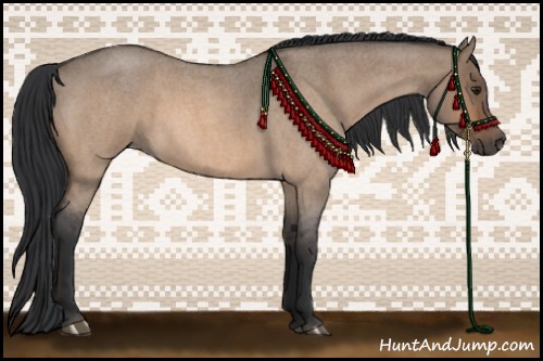 Horse Color:Bay Roan Dun