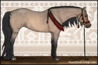 Horse Color:Bay Roan Dun 