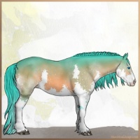 Horse Color:Watercolor Bay Sabino Splash 