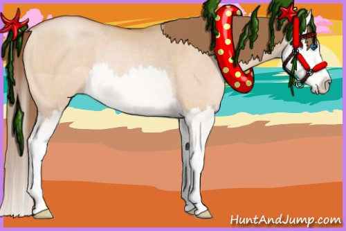 Horse Color:Bay Pearl Dun Splash Rabicano 