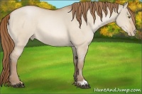 Horse Color:Bay Pearl Dun 