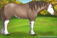 Horse Color:Black Pearl Splash 
