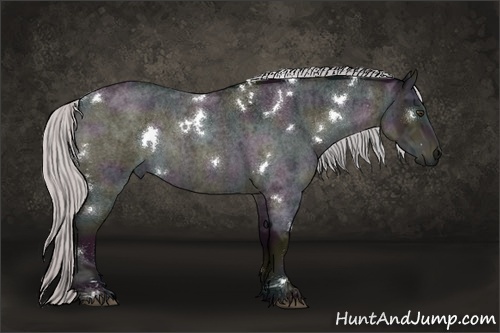 Horse Color:Platinum White Spotted Midnight Silver Brown Ice Roan Dun 