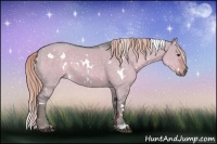 Horse Color:Watercolor White Spotted Chocolate Palomino Dun 