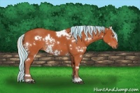 Horse Color:Painted White Spotted Silver Bay Rabicano 