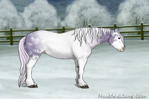 Horse Color:Watercolor Silver Black Sabino Splash