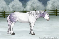 Horse Color:Watercolor Silver Black Sabino Splash